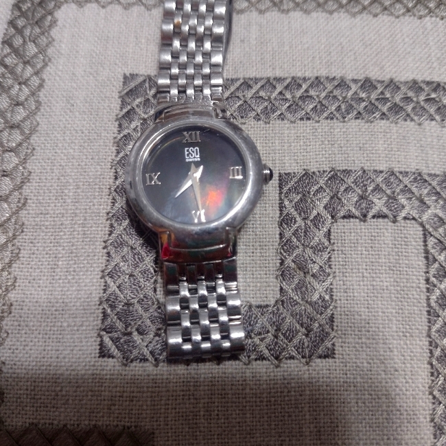 Esq Womens Watch